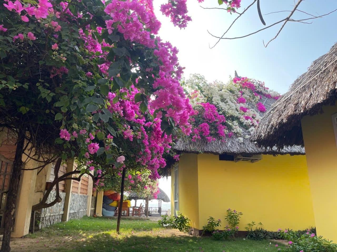 Orchid Boutique Beach Resort Phan Thiet Bagian luar foto