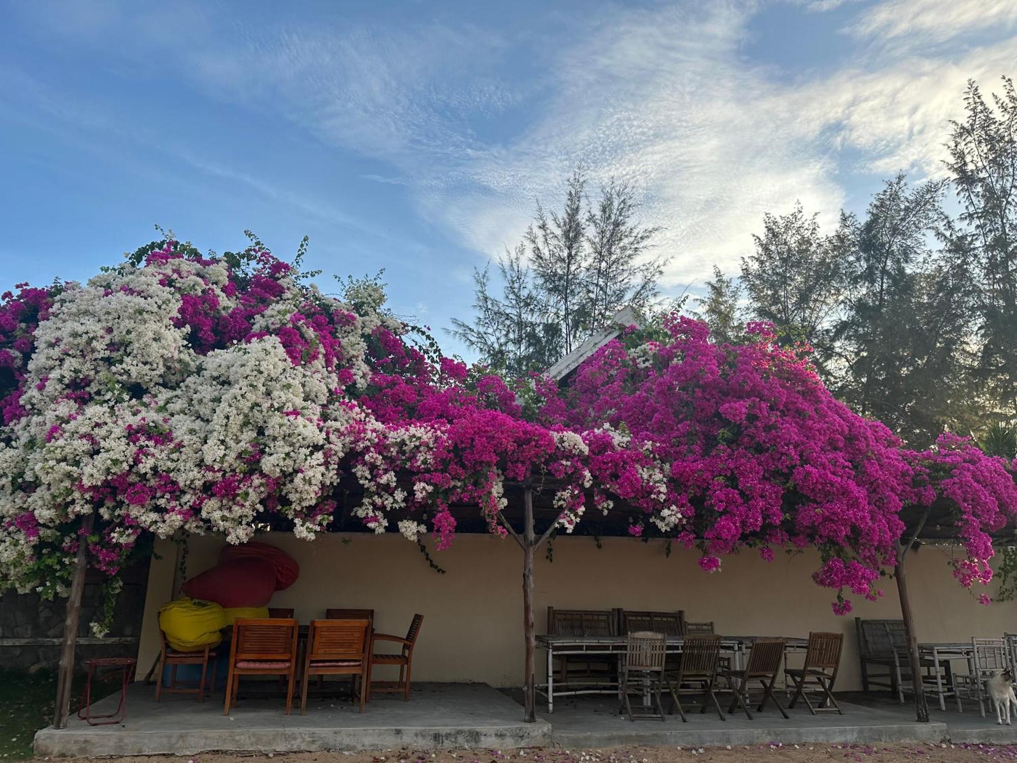 Orchid Boutique Beach Resort Phan Thiet Bagian luar foto